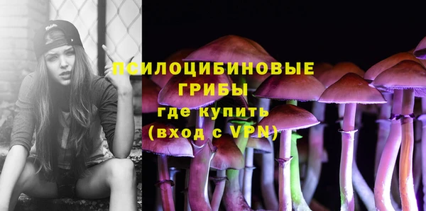 дмт Балахна