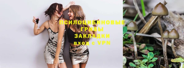 ГАЛЛЮЦИНОГЕННЫЕ ГРИБЫ Баксан