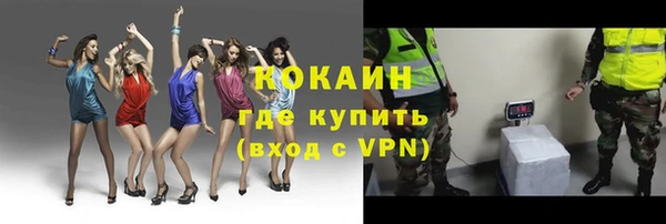 PSILOCYBIN Балабаново