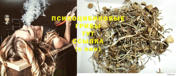 PSILOCYBIN Балабаново