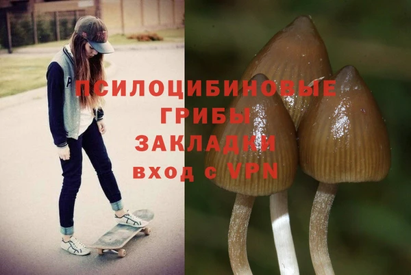 ГАЛЛЮЦИНОГЕННЫЕ ГРИБЫ Баксан