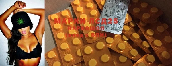 PSILOCYBIN Балабаново