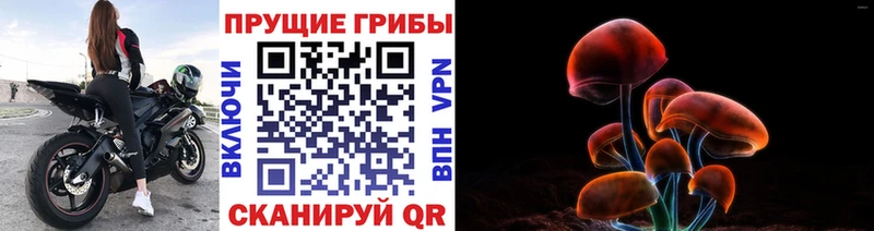 Псилоцибиновые грибы мухоморы  где можно купить   omg ССЫЛКА  Ессентуки 